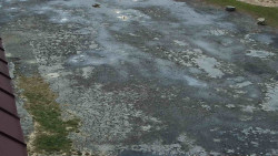 Nástup na běžecké tratě