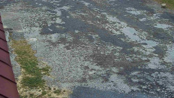 Nástup na běžecké tratě