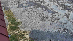 Nástup na běžecké tratě