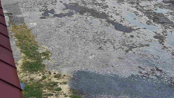 Nástup na běžecké tratě