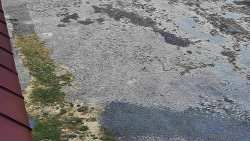 Nástup na běžecké tratě