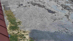 Nástup na běžecké tratě