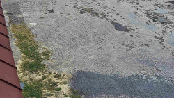 Nástup na běžecké tratě