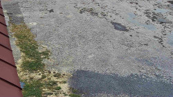 Nástup na běžecké tratě