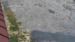 Nástup na běžecké tratě