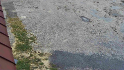 Nástup na běžecké tratě