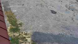 Nástup na běžecké tratě