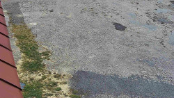 Nástup na běžecké tratě