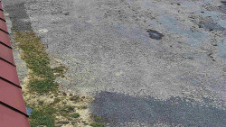 Nástup na běžecké tratě