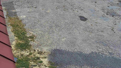 Nástup na běžecké tratě