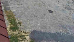 Nástup na běžecké tratě