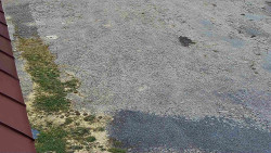 Nástup na běžecké tratě