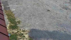 Nástup na běžecké tratě