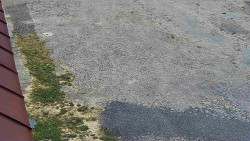 Nástup na běžecké tratě