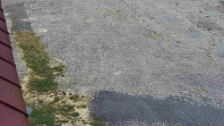 Nástup na běžecké tratě