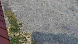 Nástup na běžecké tratě