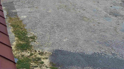 Nástup na běžecké tratě