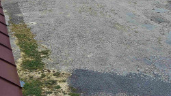 Nástup na běžecké tratě