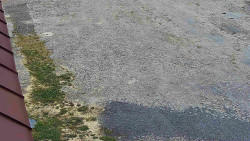 Nástup na běžecké tratě