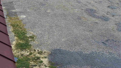 Nástup na běžecké tratě