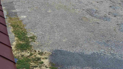 Nástup na běžecké tratě