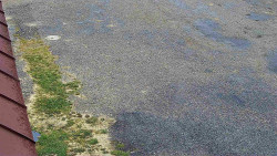 Nástup na běžecké tratě