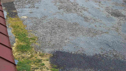 Nástup na běžecké tratě