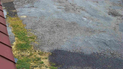 Nástup na běžecké tratě