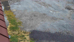 Nástup na běžecké tratě