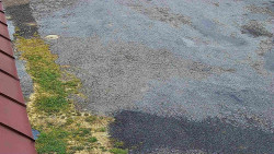 Nástup na běžecké tratě