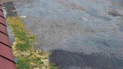 Nástup na běžecké tratě