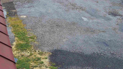 Nástup na běžecké tratě