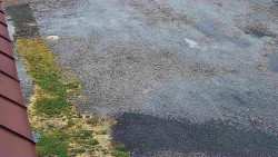 Nástup na běžecké tratě