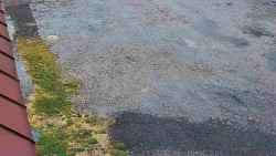 Nástup na běžecké tratě