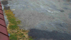 Nástup na běžecké tratě