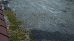 Nástup na běžecké tratě