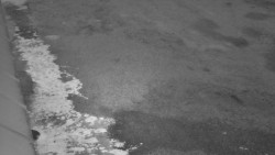 Nástup na běžecké tratě