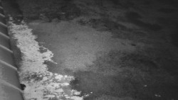 Nástup na běžecké tratě