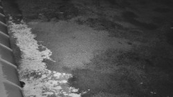 Nástup na běžecké tratě