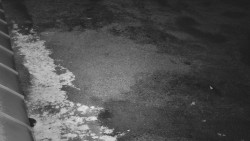 Nástup na běžecké tratě