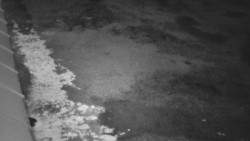 Nástup na běžecké tratě