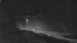 Nástup na běžecké tratě