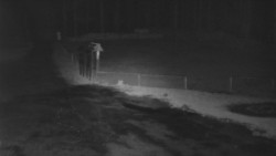 Nástup na běžecké tratě