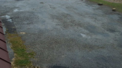 Nástup na běžecké tratě