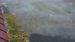 Nástup na běžecké tratě