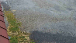 Nástup na běžecké tratě