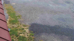 Nástup na běžecké tratě