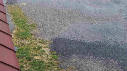 Nástup na běžecké tratě