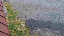 Nástup na běžecké tratě