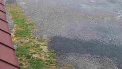 Nástup na běžecké tratě